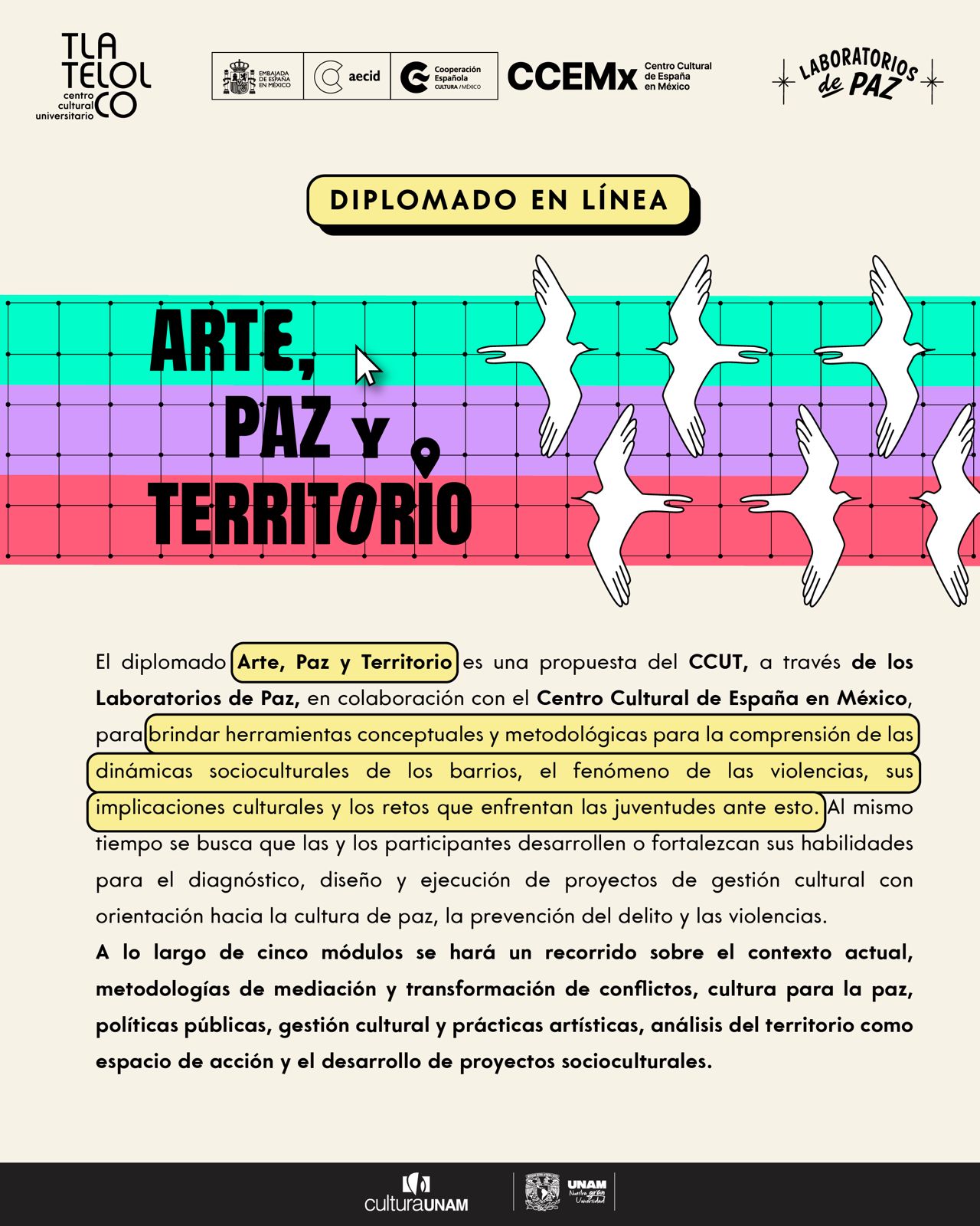 WhatsApp Image 2025-08-29 at 17.12.13