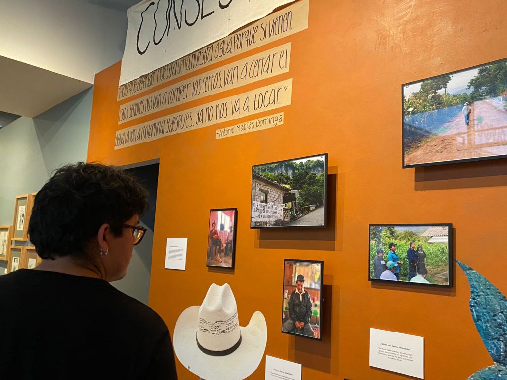 WhatsApp Image 2025-08-26 at 16.55.15