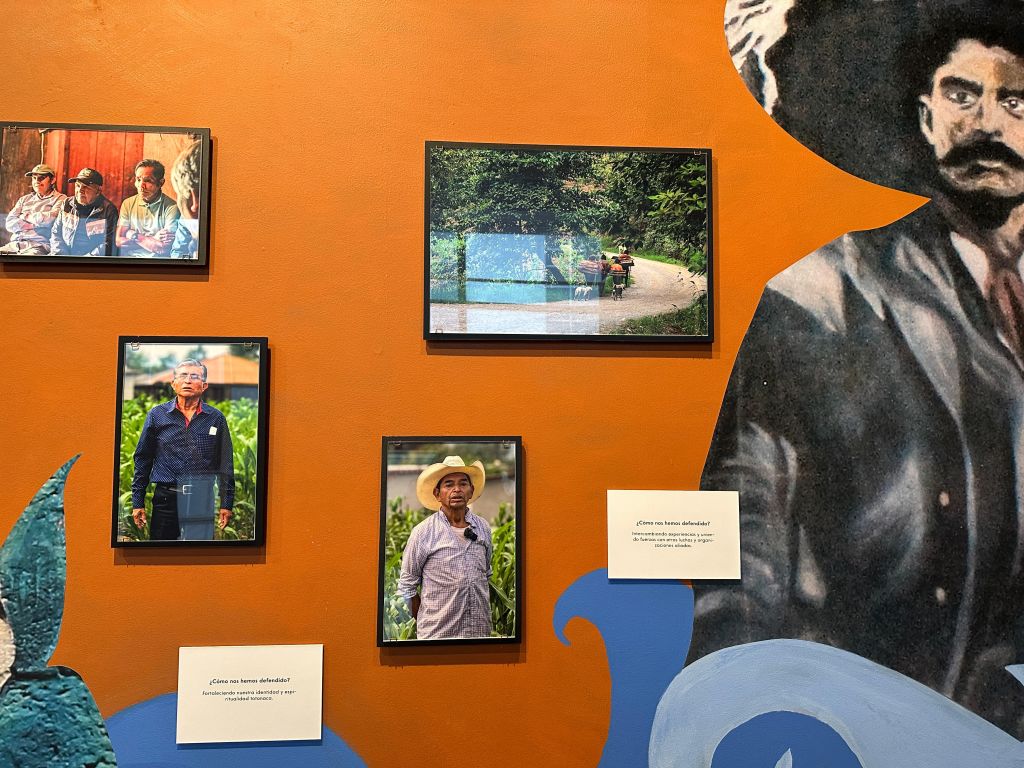 WhatsApp Image 2025-08-26 at 16.59.14 (1)