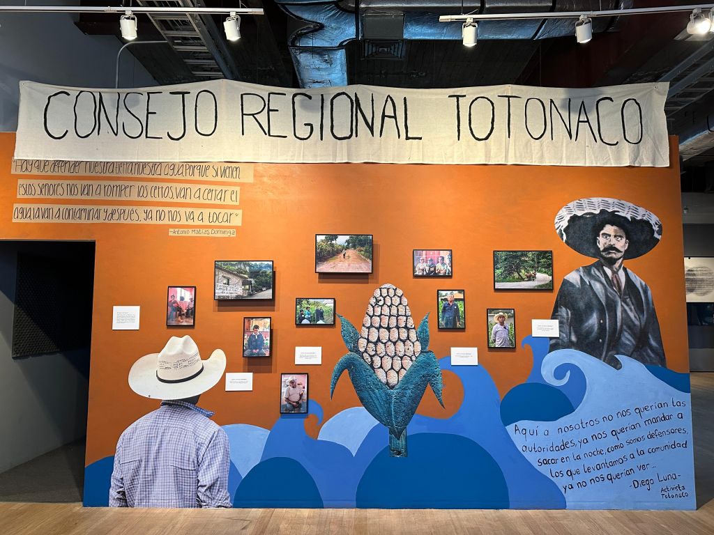 WhatsApp Image 2025-08-26 at 16.59.17